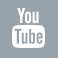 YouTube icon